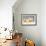 Polar Bear with Two 2-Year-Old Cubs, Bernard Spit, ANWR, Alaska, USA-Steve Kazlowski-Framed Photographic Print displayed on a wall