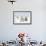 Polar Bear with Two 2-Year-Old Cubs, Bernard Spit, ANWR, Alaska, USA-Steve Kazlowski-Framed Photographic Print displayed on a wall