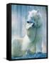 Polar bear yawning in zoo enclosure-Herbert Kehrer-Framed Stretched Canvas