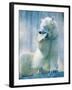 Polar bear yawning in zoo enclosure-Herbert Kehrer-Framed Photographic Print