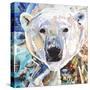Polar Bear-James Grey-Stretched Canvas