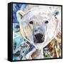 Polar Bear-James Grey-Framed Stretched Canvas