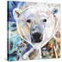 Polar Bear-James Grey-Stretched Canvas