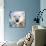 Polar Bear-James Grey-Art Print displayed on a wall