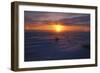 Polar Bear-null-Framed Photographic Print