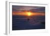 Polar Bear-null-Framed Photographic Print