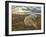 Polar Bear-null-Framed Photographic Print