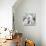 Polar Bear-Anna Polanski-Stretched Canvas displayed on a wall