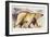 Polar Bear-Mark Adlington-Framed Giclee Print