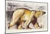 Polar Bear-Mark Adlington-Mounted Giclee Print