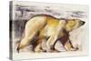 Polar Bear-Mark Adlington-Stretched Canvas