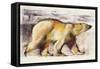 Polar Bear-Mark Adlington-Framed Stretched Canvas