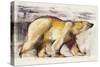 Polar Bear-Mark Adlington-Stretched Canvas