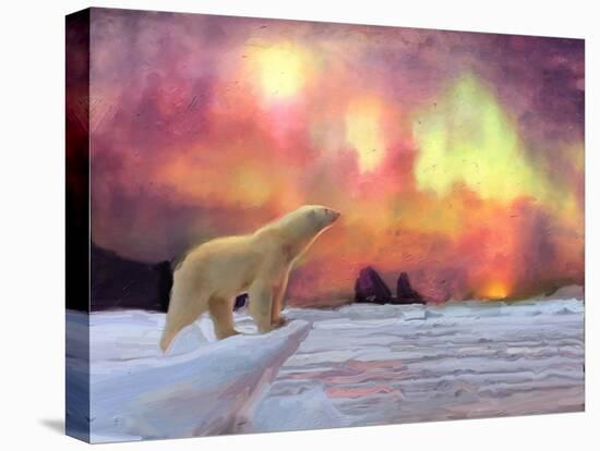 Polar Bear-Mark Gordon-Stretched Canvas