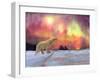 Polar Bear-Mark Gordon-Framed Giclee Print