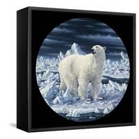 Polar Bear-Jeff Tift-Framed Stretched Canvas