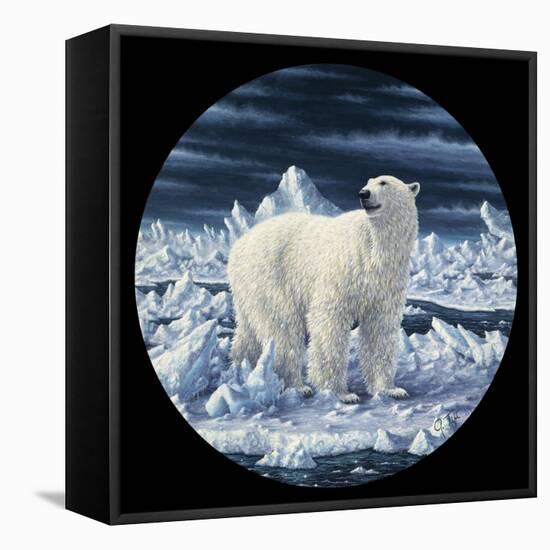 Polar Bear-Jeff Tift-Framed Stretched Canvas