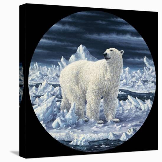 Polar Bear-Jeff Tift-Stretched Canvas
