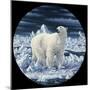 Polar Bear-Jeff Tift-Mounted Giclee Print