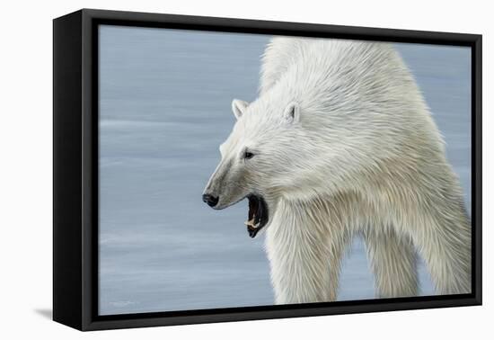 Polar Bear-Jeremy Paul-Framed Stretched Canvas