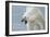 Polar Bear-Jeremy Paul-Framed Giclee Print