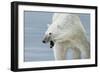 Polar Bear-Jeremy Paul-Framed Giclee Print