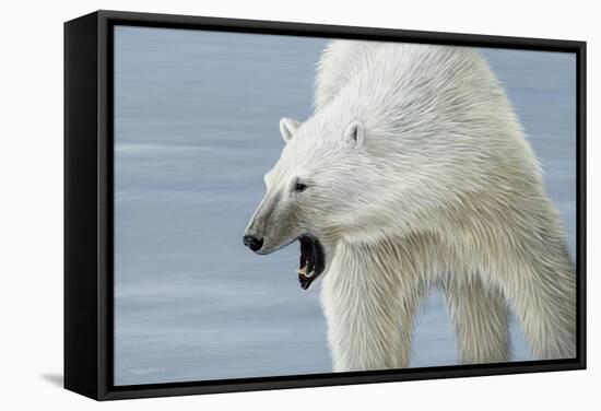 Polar Bear-Jeremy Paul-Framed Stretched Canvas