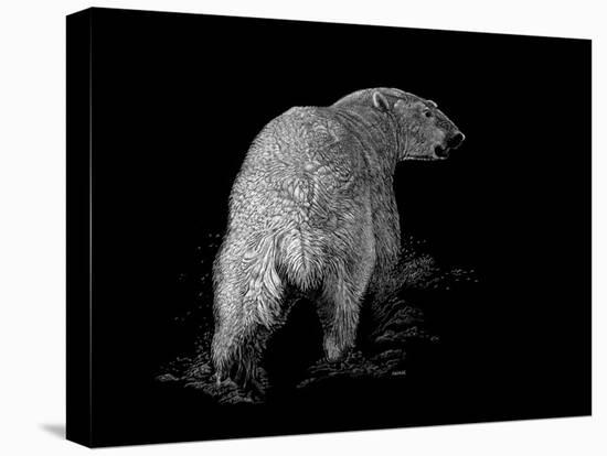 Polar Bear-Geraldine Aikman-Stretched Canvas