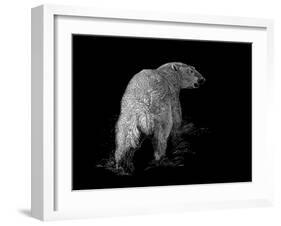 Polar Bear-Geraldine Aikman-Framed Premium Giclee Print