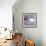 Polar Bear-David Sheskin-Framed Giclee Print displayed on a wall
