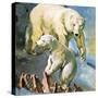 Polar Bear-McConnell-Stretched Canvas