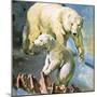 Polar Bear-McConnell-Mounted Giclee Print