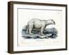 Polar Bear-null-Framed Giclee Print