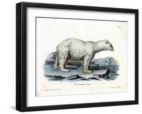 Polar Bear-null-Framed Giclee Print