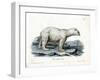 Polar Bear-null-Framed Giclee Print