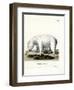 Polar Bear-null-Framed Giclee Print