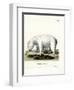 Polar Bear-null-Framed Giclee Print