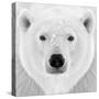 Polar Bear-PhotoINC Studio-Stretched Canvas