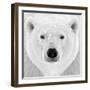 Polar Bear-PhotoINC Studio-Framed Photographic Print