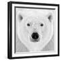 Polar Bear-PhotoINC Studio-Framed Photographic Print