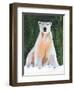 Polar Bear-Jenny Westenhofer-Framed Art Print