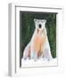 Polar Bear-Jenny Westenhofer-Framed Art Print