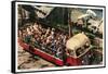 Polar Bears at Zoo, San Diego, California-null-Framed Stretched Canvas