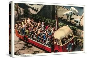 Polar Bears at Zoo, San Diego, California-null-Stretched Canvas