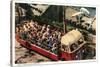 Polar Bears at Zoo, San Diego, California-null-Stretched Canvas