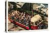 Polar Bears at Zoo, San Diego, California-null-Stretched Canvas