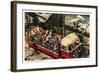 Polar Bears at Zoo, San Diego, California-null-Framed Art Print