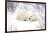 Polar Bears, Female and Cub, Churchill Wildlife Area, Manitoba, Canada-Richard ans Susan Day-Framed Photographic Print