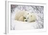 Polar Bears, Female and Cub, Churchill Wildlife Management Area, Mb-Richard ans Susan Day-Framed Photographic Print