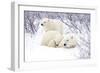 Polar Bears, Female and Two Cubs, Churchill Wildlife Area, Mb-Richard ans Susan Day-Framed Photographic Print